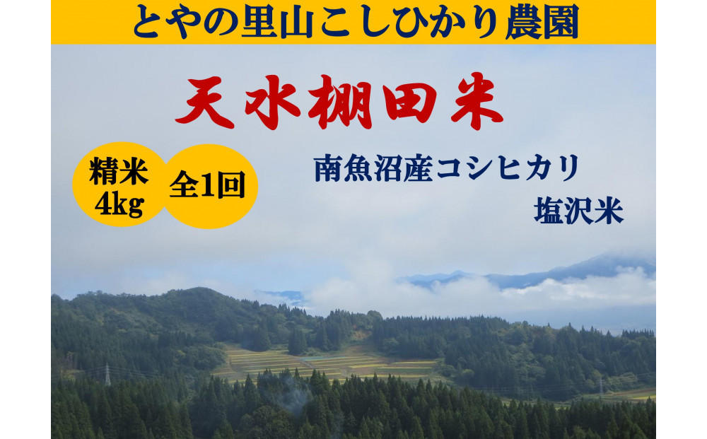 令和8年産新米予約【天水棚田米】雪蔵熟成塩沢産コシヒカリ精米4kg1回「とやの里山継承プロジェクト」【2026年10月下旬より順次発送予定】