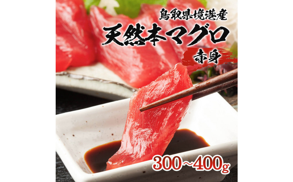 天然本マグロ(黒マグロ)　赤身300～400g&nbsp;|&nbsp;本マグロ&nbsp;クロマグロ&nbsp;黒マグロ&nbsp;天然マグロ&nbsp;マグロ&nbsp;まぐろ&nbsp;刺身用&nbsp;サク&nbsp;柵&nbsp;海鮮&nbsp;魚介&nbsp;魚介類&nbsp;赤身&nbsp;高級魚&nbsp;贅沢食材&nbsp;刺身&nbsp;海鮮丼&nbsp;寿司用&nbsp;家庭用&nbsp;&nbsp;&nbsp;お取り寄せ&nbsp;グルメ&nbsp;人気&nbsp;おすすめ&nbsp;国産&nbsp;鳥取県&nbsp;境港市