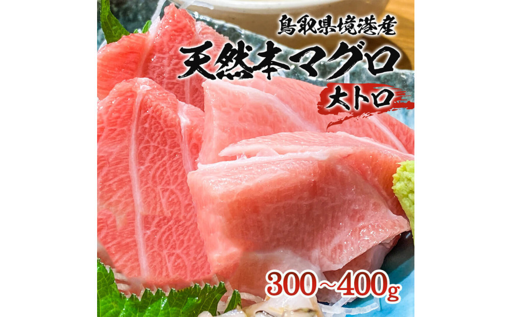 天然本マグロ(黒マグロ)　大トロ300～400g&nbsp;|&nbsp;本マグロ&nbsp;クロマグロ&nbsp;黒マグロ&nbsp;天然マグロ&nbsp;マグロ&nbsp;まぐろ&nbsp;刺身用&nbsp;サク&nbsp;柵&nbsp;海鮮&nbsp;魚介&nbsp;魚介類&nbsp;大トロ&nbsp;高級魚&nbsp;贅沢食材&nbsp;刺身&nbsp;海鮮丼&nbsp;寿司用&nbsp;家庭用&nbsp;&nbsp;&nbsp;お取り寄せ&nbsp;グルメ&nbsp;人気&nbsp;おすすめ&nbsp;国産&nbsp;鳥取県&nbsp;境港市