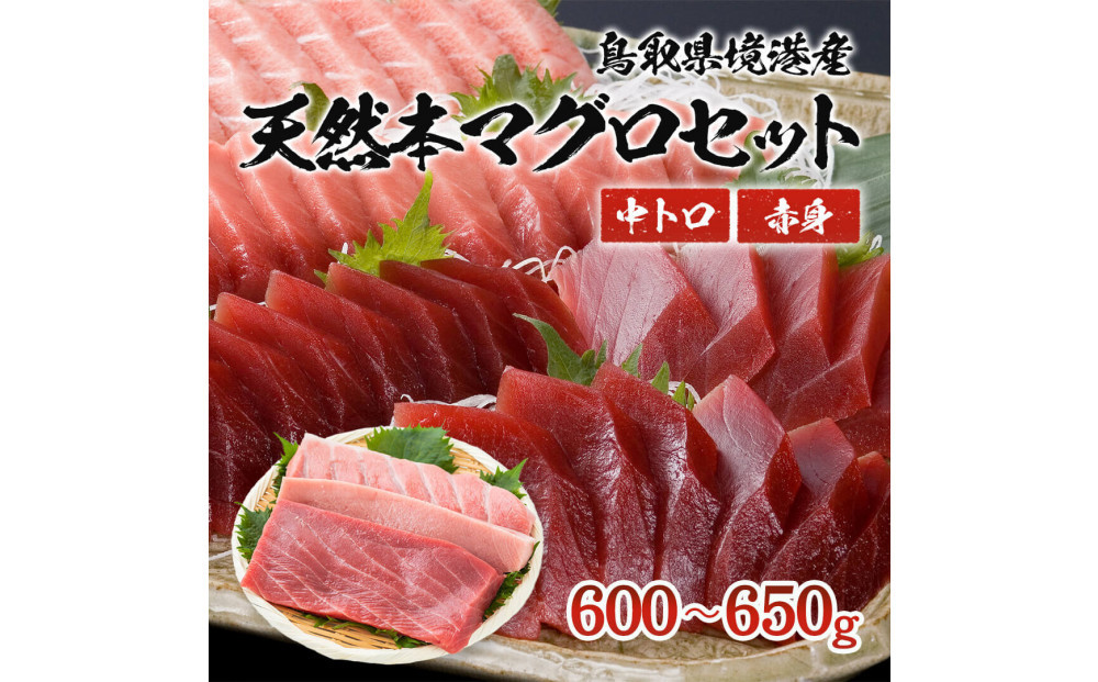 天然本マグロ(黒マグロ)　2点セット(中トロ・赤身)600～650g&nbsp;|&nbsp;本マグロ&nbsp;クロマグロ&nbsp;黒マグロ&nbsp;天然マグロ&nbsp;マグロ&nbsp;まぐろ&nbsp;刺身用&nbsp;サク&nbsp;柵&nbsp;海鮮&nbsp;魚介&nbsp;魚介類&nbsp;赤身&nbsp;中トロ&nbsp;&nbsp;食べ比べ&nbsp;セット&nbsp;高級魚&nbsp;贅沢食材&nbsp;刺身&nbsp;海鮮丼&nbsp;寿司用&nbsp;家庭用&nbsp;&nbsp;&nbsp;お取り寄せ&nbsp;グルメ&nbsp;人気&nbsp;おすすめ&nbsp;国産&nbsp;鳥取県&nbsp;境港市