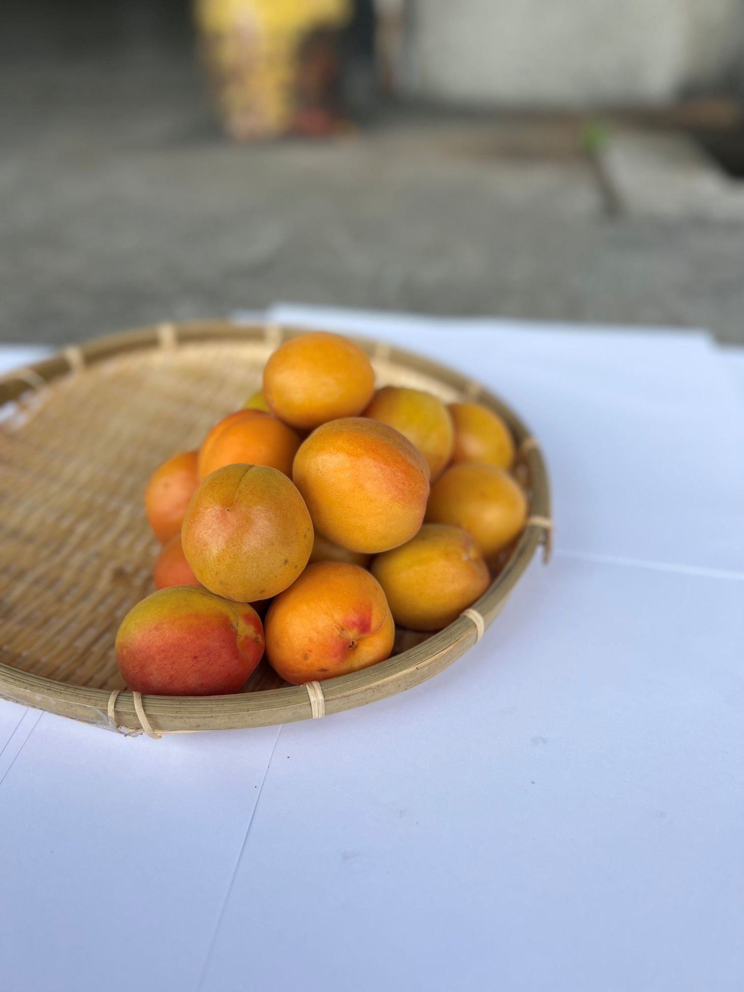 皮ごと食べられる杏「ハーコット」1kg