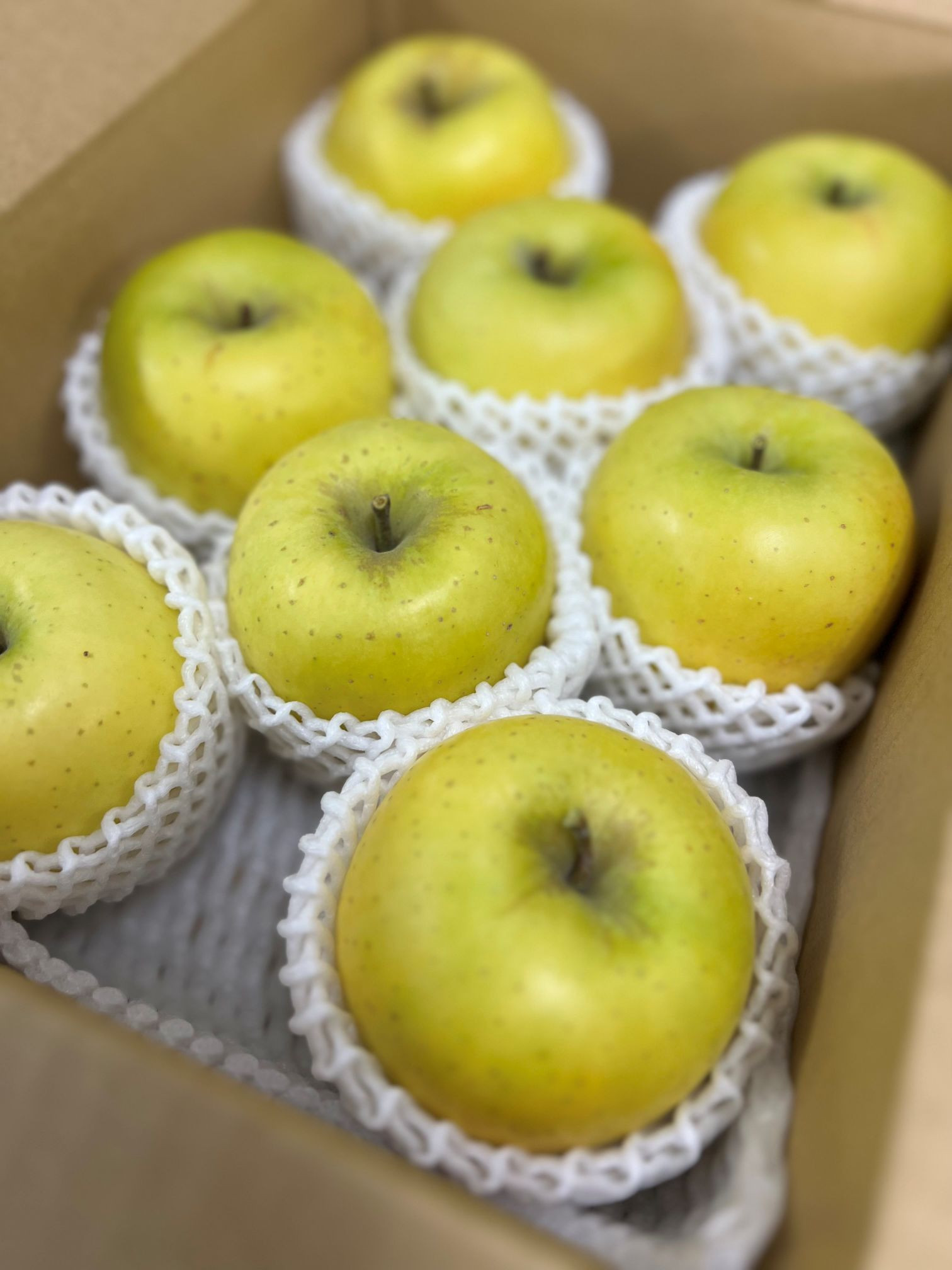 シナノゴールド5kg