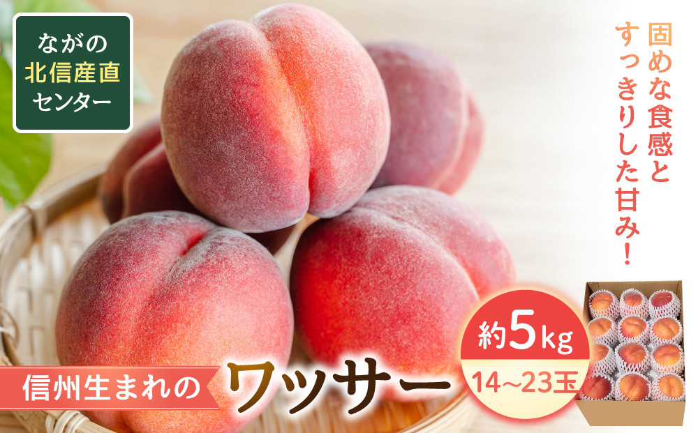 【※2027年7月以降発送分&nbsp;先行受付】長野市産&nbsp;旬の桃&nbsp;ワッサー&nbsp;約５kg&nbsp;|&nbsp;&nbsp;桃&nbsp;もも&nbsp;モモ&nbsp;フルーツ&nbsp;果物&nbsp;旬&nbsp;人気&nbsp;おすすめ&nbsp;&nbsp;送料無料&nbsp;&nbsp;長野県&nbsp;長野市&nbsp;信州&nbsp;信濃&nbsp;ふるさと納税