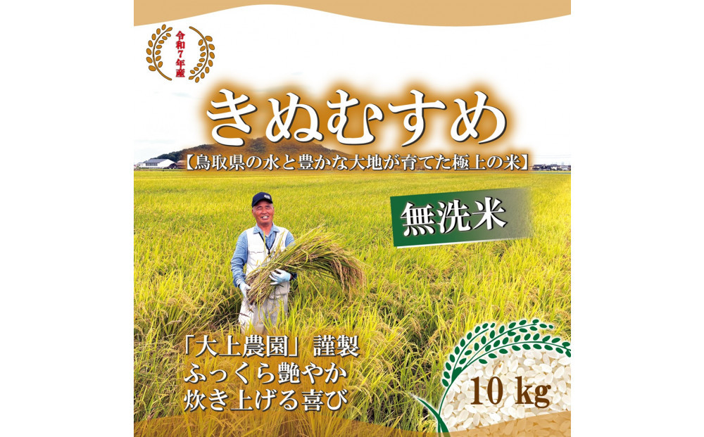 令和7年産　大上農園きぬむすめ　無洗米10kg