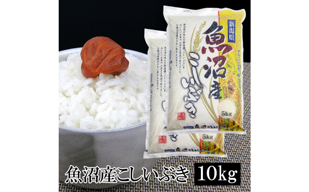 お米マイスター厳選！7年産魚沼産こしいぶき　10kg(5kg×2)