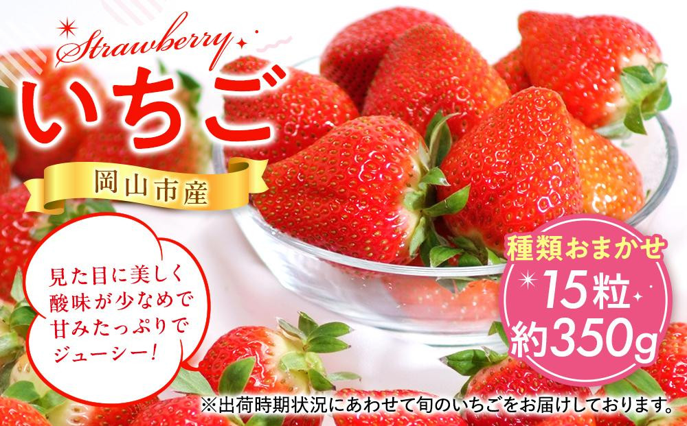 岡山県産&nbsp;いちご&nbsp;15粒（約350g）種類おまかせ【2026年12月以降発送】