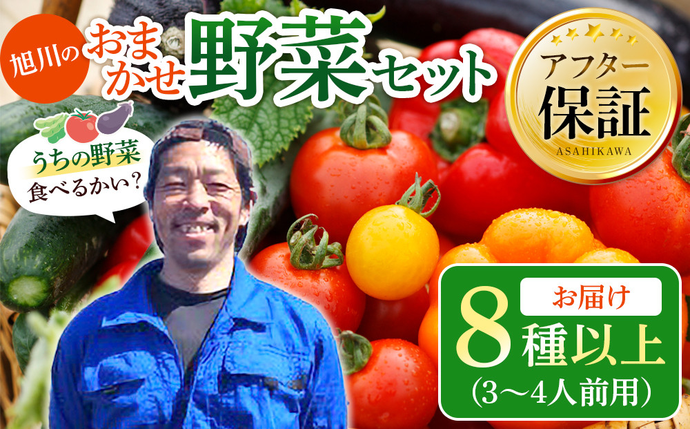 【先行予約】旭川のおまかせ野菜セット(8種以上)&nbsp;(2026年7月下旬発送開始)_05909