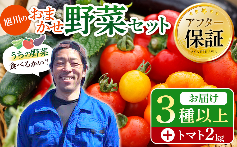 【先行予約】旭川のおまかせ野菜セット(トマト2kg＋3種以上)(2026年7月下旬発送開始)_05910