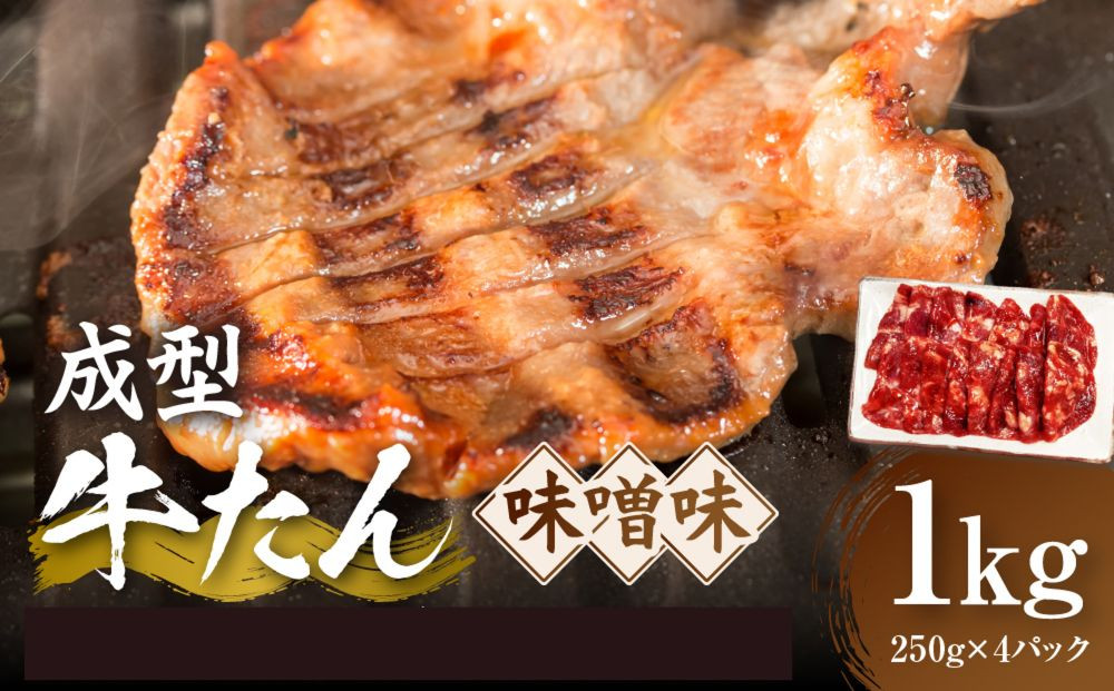 成型牛たん味噌味&nbsp;1kg(250g×4P)　宮城県共通返礼品