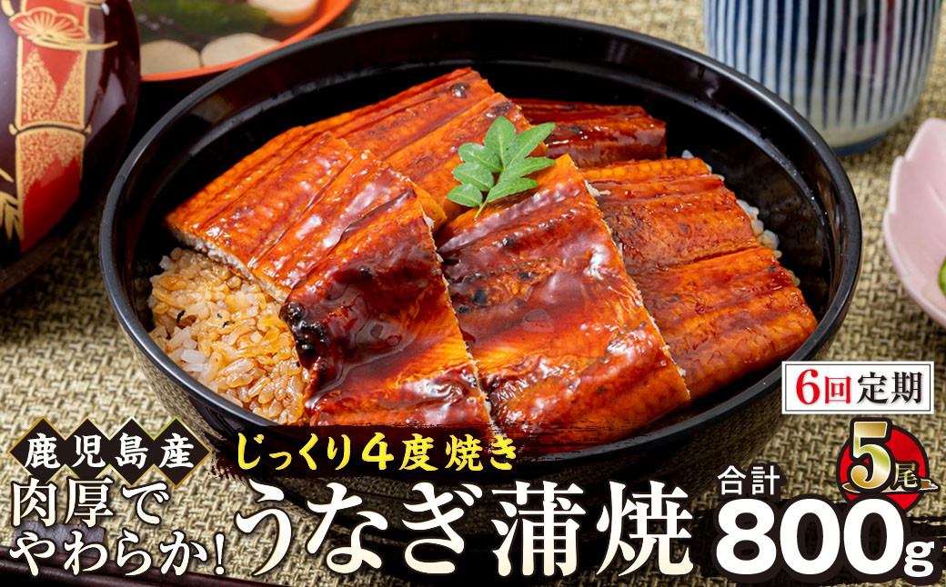【6回定期】うなぎ&nbsp;蒲焼&nbsp;160g×5尾【鹿児島産】地下水で育てた絶品鰻