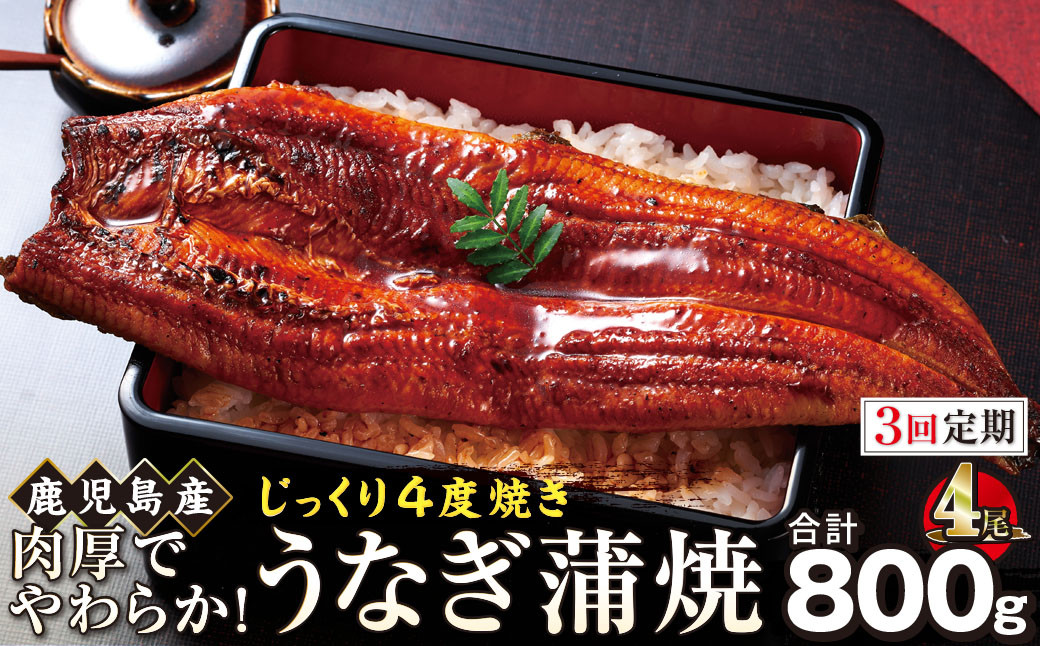 【3回定期】うなぎ&nbsp;蒲焼&nbsp;200g×4尾【鹿児島産】地下水で育てた絶品鰻