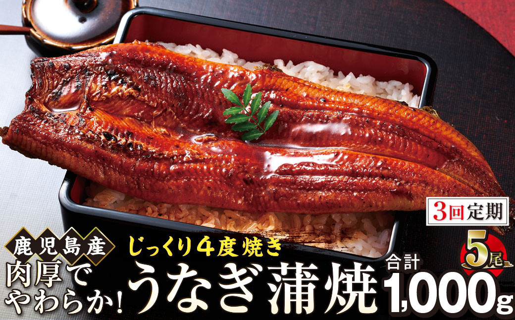 【3回定期】うなぎ&nbsp;蒲焼&nbsp;200g×5尾【鹿児島産】地下水で育てた絶品鰻