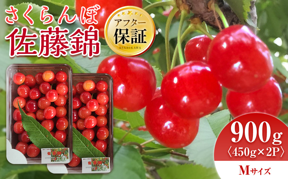 【先行予約】さくらんぼ佐藤錦&nbsp;450g×2パック&nbsp;Mサイズ(2026年7月上旬から発送開始予定)_05816