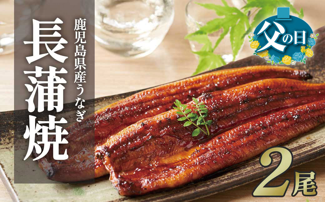 【父の日】ふるさと納税限定　鹿児島県大崎町産&nbsp;国産&nbsp;うなぎ長蒲焼&nbsp;2尾&nbsp;計320g以上&nbsp;|&nbsp;鰻&nbsp;うなぎ蒲焼き&nbsp;うな重&nbsp;ひつまぶし&nbsp;ウナギ&nbsp;蒲焼&nbsp;人気&nbsp;おすすめ&nbsp;鹿児島&nbsp;大隅半島&nbsp;DU001　