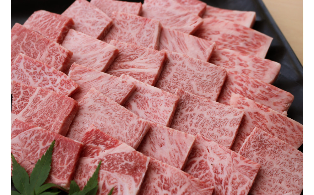 博多和牛　焼肉詰合せ(450g)