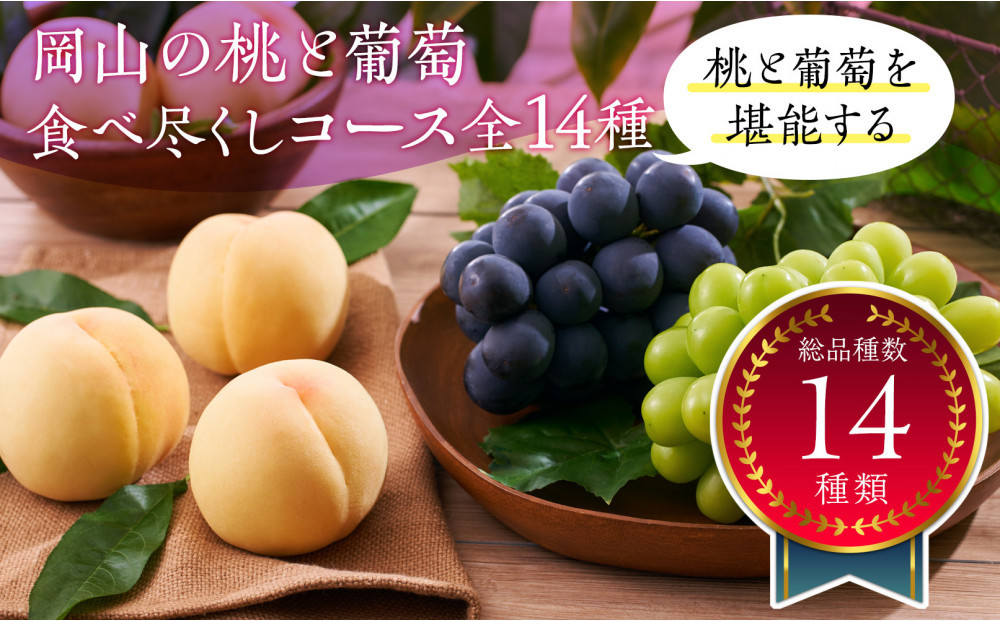 岡山の桃とぶどう&nbsp;食べ尽くしコース全14種（14回お届け）