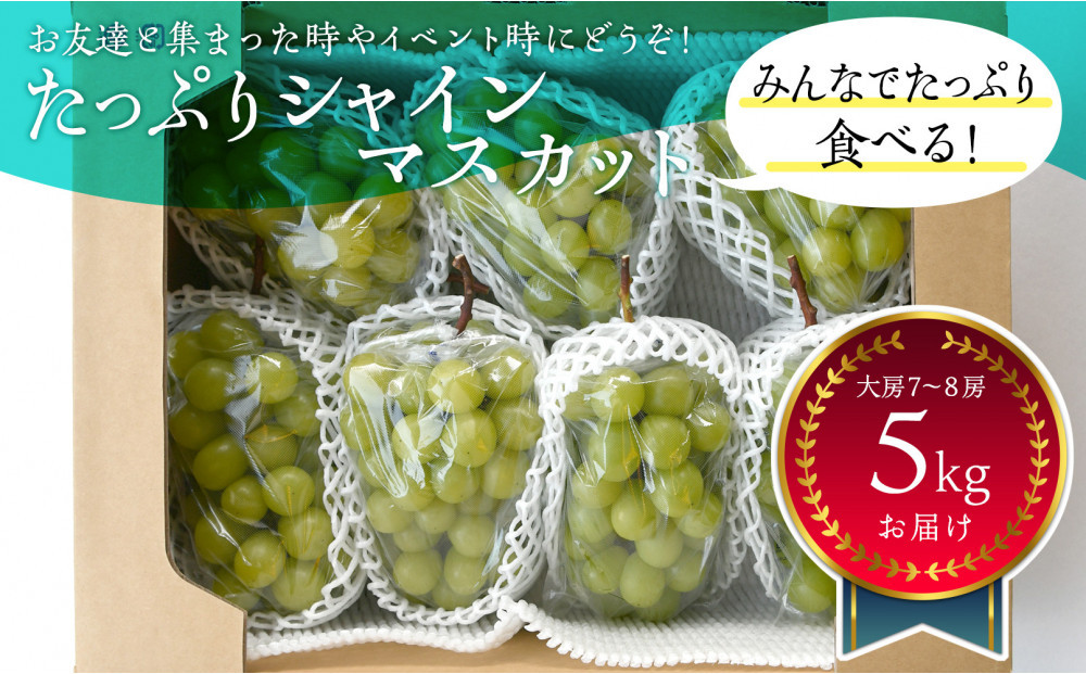 岡山県産&nbsp;たっぷりシャインマスカット5Kg&nbsp;大房7〜8房