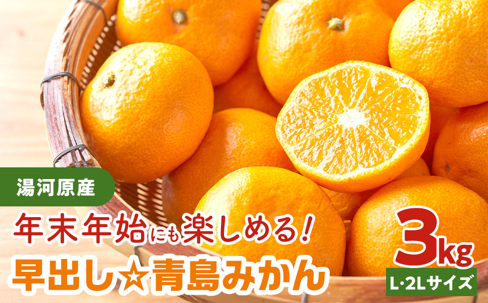 年末年始にも楽しめる　早出し　青島みかん　3kg&nbsp;&nbsp;|&nbsp;湯河原町&nbsp;青島みかん&nbsp;3kg&nbsp;フルーツ&nbsp;蔵出し貯蔵&nbsp;濃厚