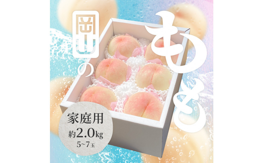 2026年&nbsp;岡山県産&nbsp;白桃&nbsp;家庭用&nbsp;約2kg（5〜7玉）