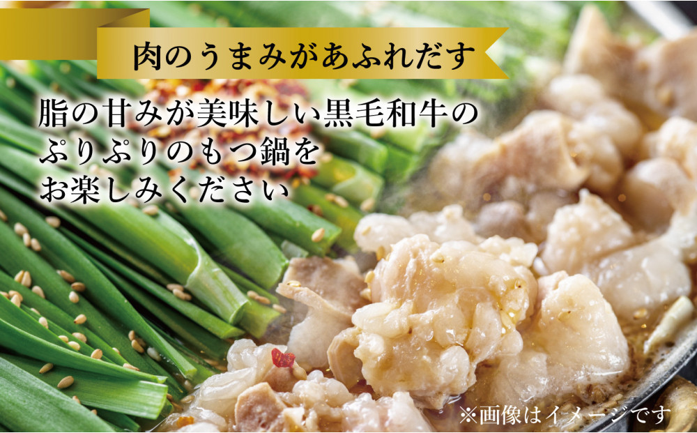 黒毛和牛もつ鍋　白濁&nbsp;鶏ガラスープ醤油スープ　３〜４人前セット