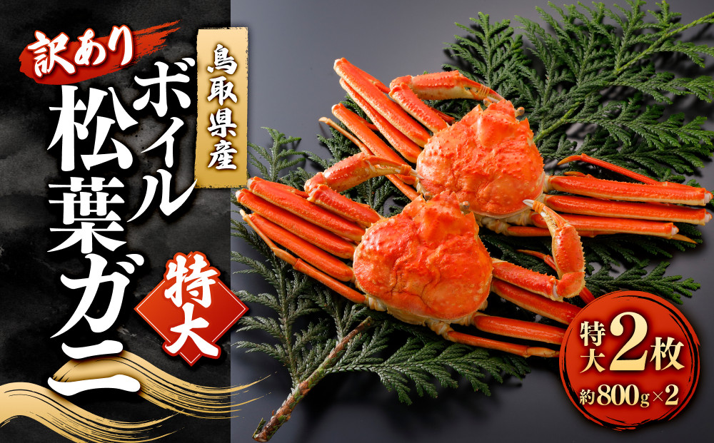 ＜11月中旬～2月下旬配送予定＞鳥取県産　訳ありボイル松葉ガニ(特大２枚)