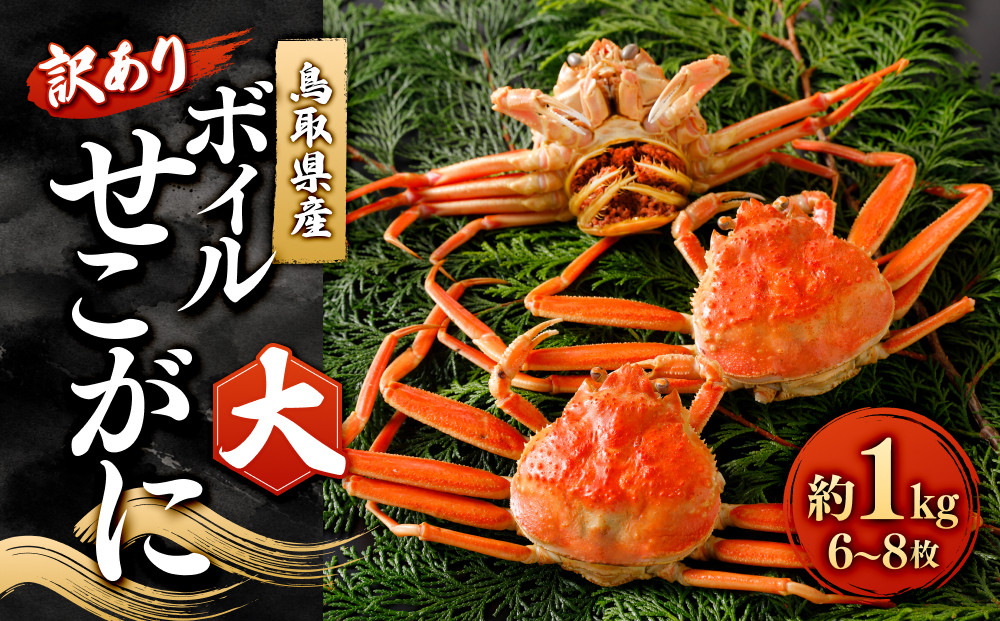 ＜11月中旬～12月上旬発送予定＞鳥取県産　訳ありボイルせこがに大１ｋｇ（６～８枚）