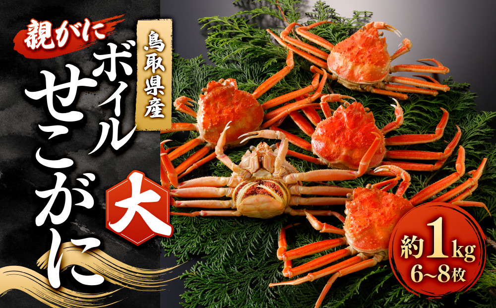 ＜11月中旬～12月上旬発送予定＞鳥取県産　ボイルせこがに大１ｋｇ(６～８枚)