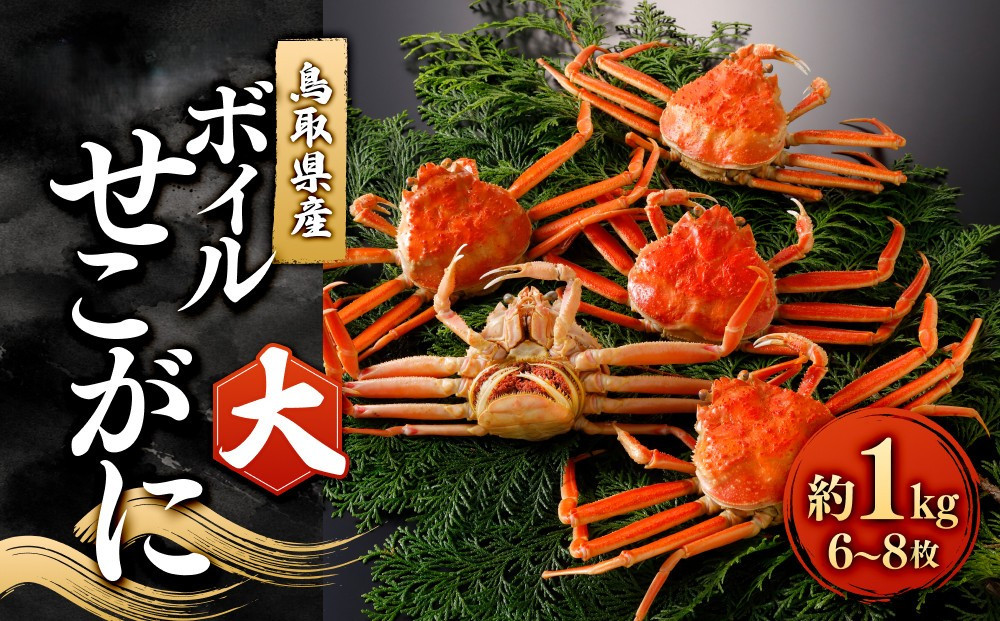 ＜11月中旬～12月上旬発送予定＞鳥取県産　ボイルせこがに大１ｋｇ(６～８枚)