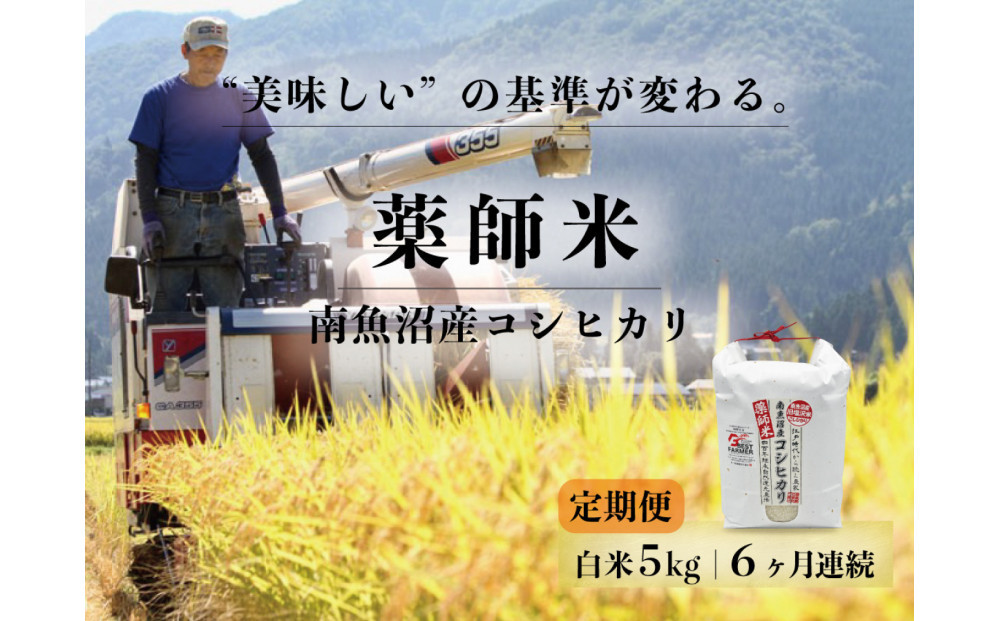 定期便全6回【南魚沼市食味コンテスト優秀賞】南魚沼産コシヒカリ&nbsp;白米5kg&nbsp;｜薬師米&nbsp;令和7年産