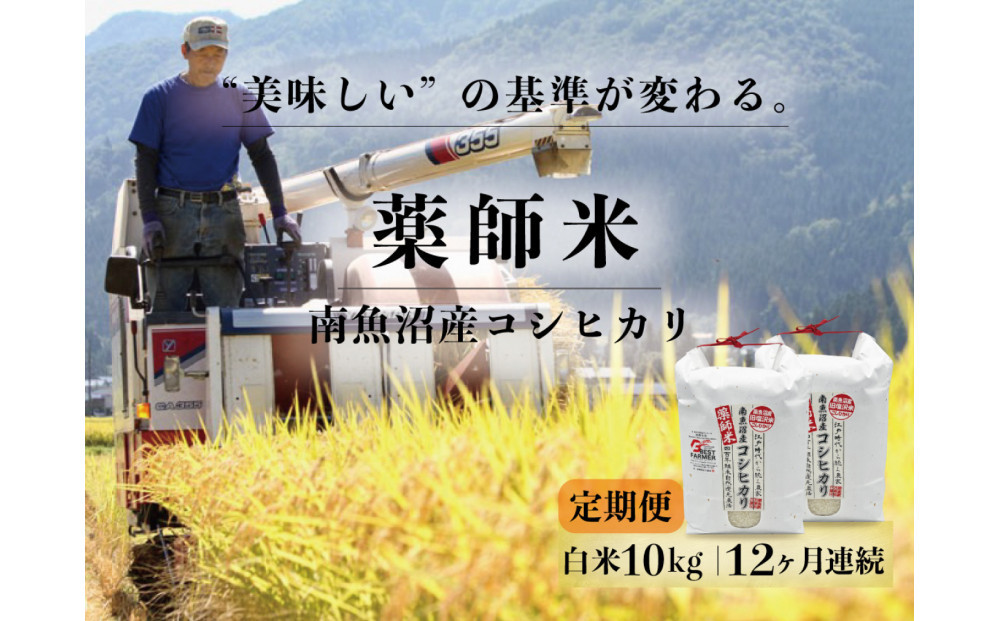 定期便全12回【南魚沼市食味コンテスト優秀賞】南魚沼産コシヒカリ&nbsp;白米10kg(5kg×2)&nbsp;｜薬師米&nbsp;令和7年産