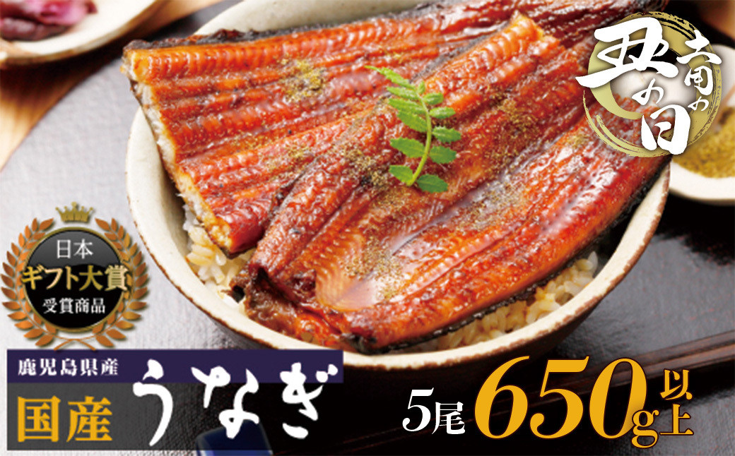 【土用丑の日までに届く】鹿児島県産うなぎ長蒲焼&nbsp;120g以上×5尾&nbsp;|&nbsp;国産&nbsp;うなぎ&nbsp;鰻&nbsp;ウナギ&nbsp;蒲焼き&nbsp;蒲焼&nbsp;かばやき&nbsp;魚&nbsp;魚介&nbsp;魚貝&nbsp;海鮮&nbsp;うな重&nbsp;ひつまぶし&nbsp;蒲焼&nbsp;訳あり&nbsp;ギフト&nbsp;人気&nbsp;おすすめ&nbsp;鹿児島県&nbsp;大崎町&nbsp;大隅半島&nbsp;A995G&nbsp;