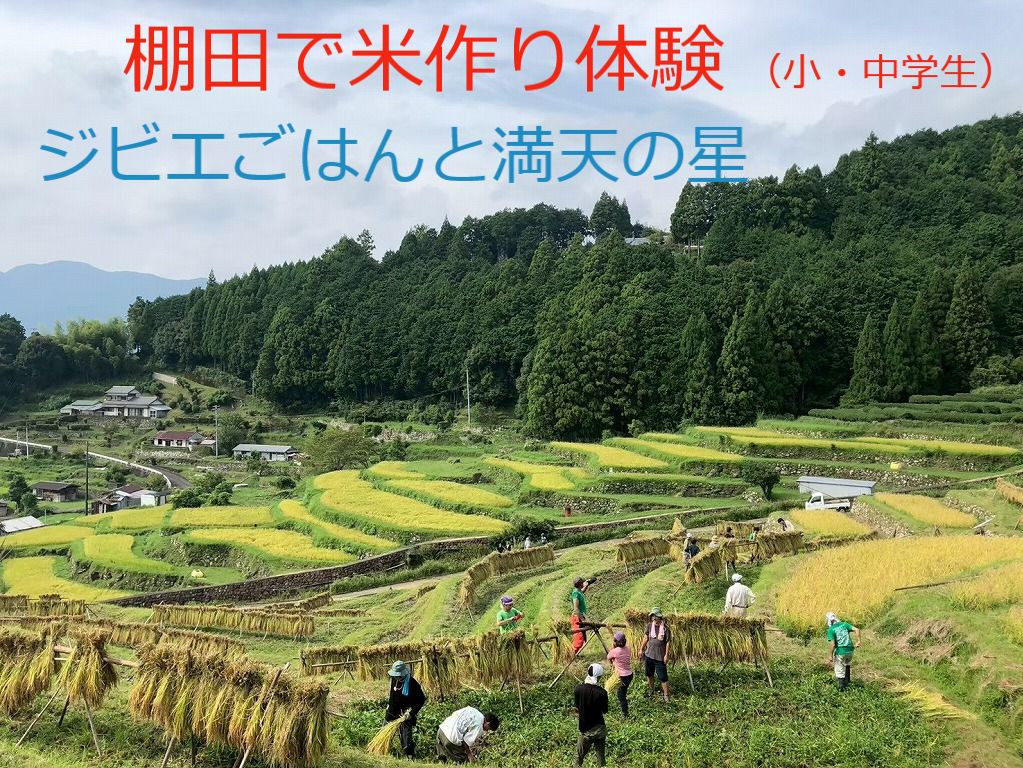 棚田で米作り体験&nbsp;小・中学生用&nbsp;（参加チケット1回分）
