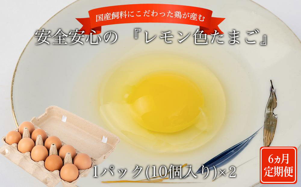 【定期便6か月】国産飼料にこだわった鶏が産む安全安心の&nbsp;『レモン色たまご』20個（15個＋割れ保証5個）&nbsp;［Hn5］