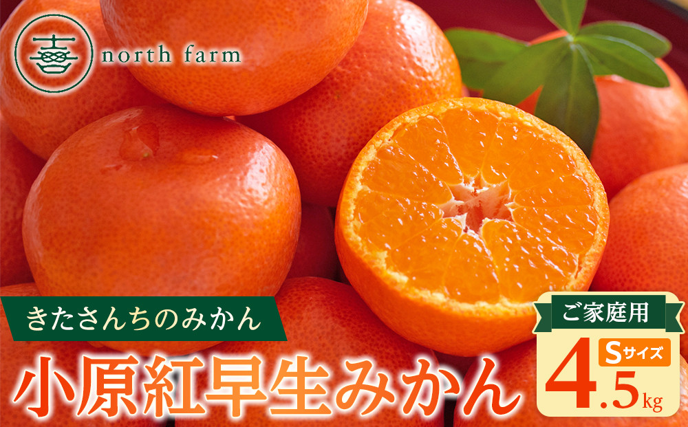 【先行予約】きたさんちのみかん　小原紅早生みかん4.5kg　ご家庭用（Sサイズ）【12月上旬発送】