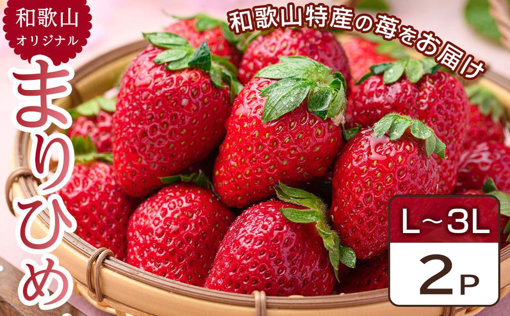 [先行予約]&nbsp;和歌山県&nbsp;オリジナル&nbsp;まりひめ&nbsp;イチゴ&nbsp;2パック入り（3L～L寸）