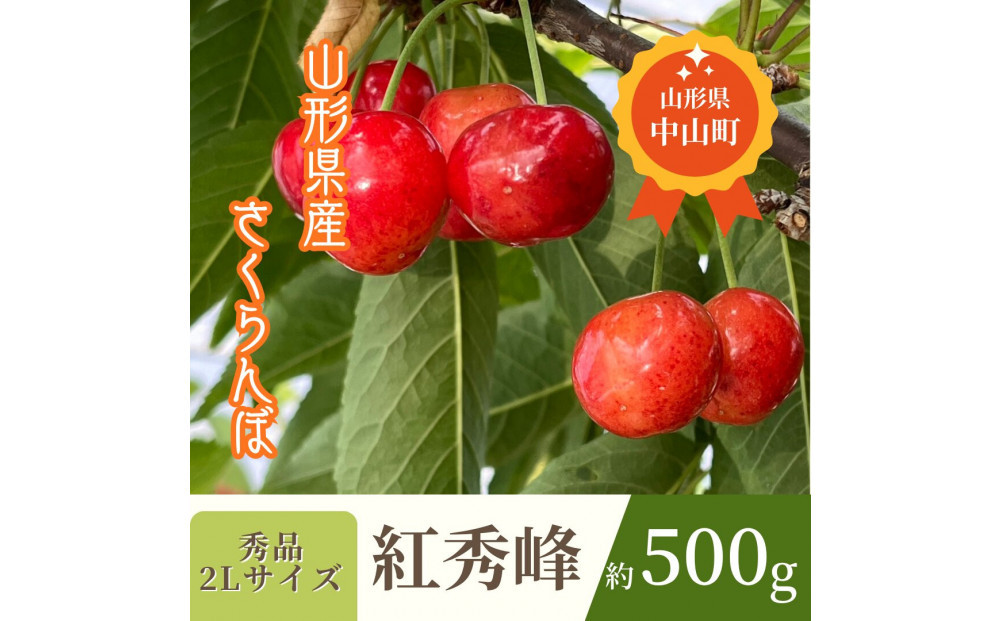 【2026年発送】♪山形産さくらんぼ　紅秀峰♪　秀品　2Lサイズ　約500g
