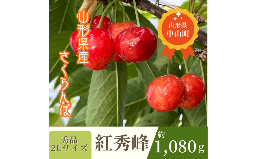 【2026年発送】♪山形産さくらんぼ　紅秀峰♪　秀品　2Lサイズ　約1,080g
