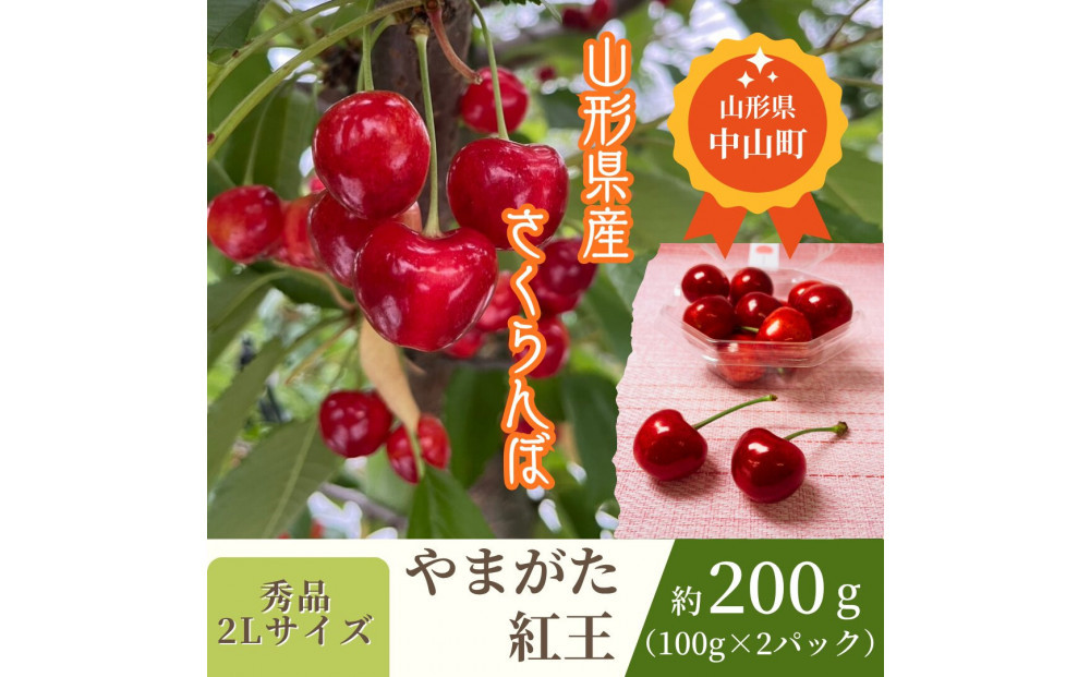 【2026年発送】♪山形産さくらんぼ　やまがた紅王♪　秀品　2Lサイズ　約200g