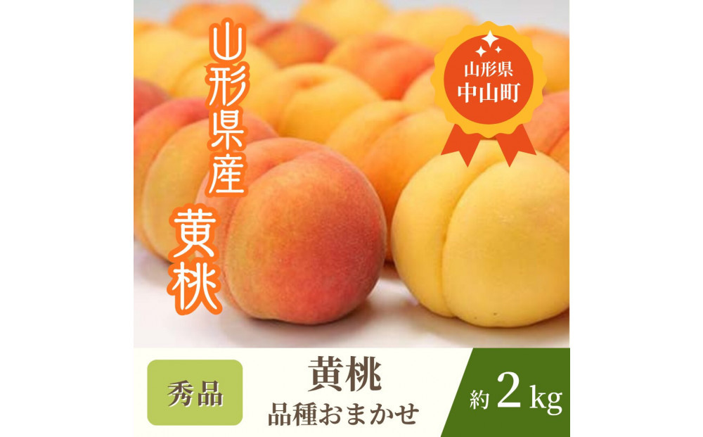 【2026年発送】♪山形黄桃　品種おまかせ♪　秀品約2Kg