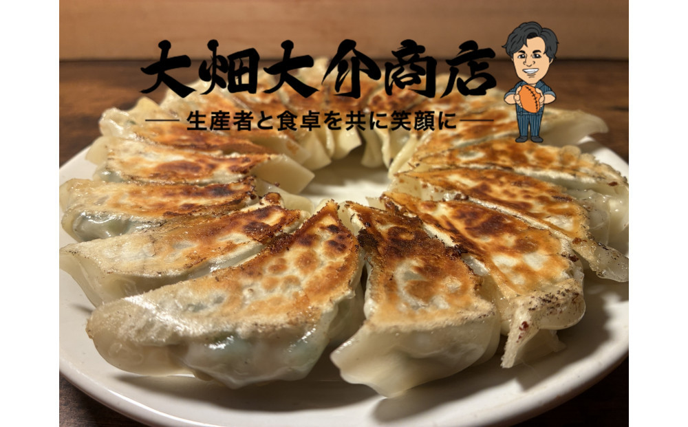 【京阪百貨店厳選】大畑大介商店オリジナル　ダイスケのジャンボねぎ餃子&nbsp;10個×2P