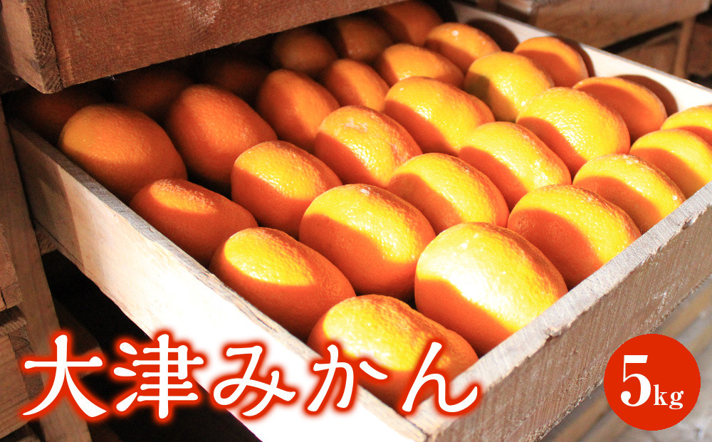 大津みかん&nbsp;5kg&nbsp;|&nbsp;湯河原町&nbsp;湯河原発祥&nbsp;みかん&nbsp;柑橘&nbsp;旬&nbsp;大津4号&nbsp;5kg&nbsp;フルーツ
