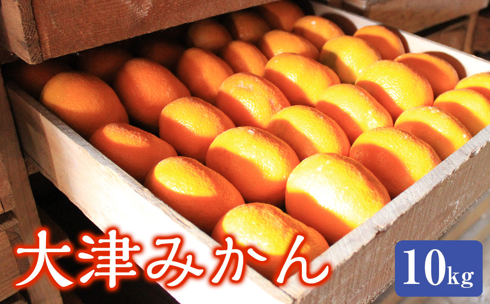 大津みかん10kg&nbsp;|&nbsp;湯河原町&nbsp;湯河原発祥&nbsp;みかん&nbsp;柑橘&nbsp;旬&nbsp;大津4号&nbsp;10kg&nbsp;フルーツ