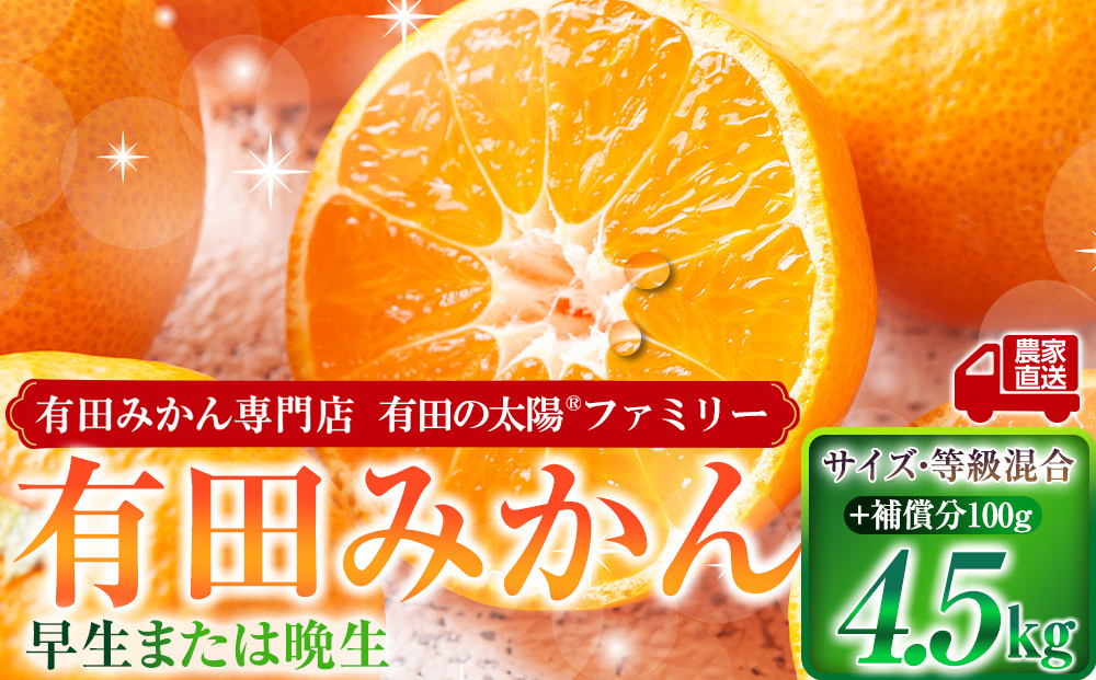 有田みかん専門店&nbsp;有田の太陽®ファミリー&nbsp;早生または晩生&nbsp;有田みかん&nbsp;4.5kg＋補償分100g&nbsp;山採れ・サイズ・等級&nbsp;混合