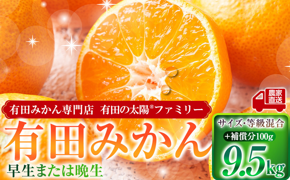 有田みかん専門店&nbsp;有田の太陽®ファミリー&nbsp;早生または晩生&nbsp;有田みかん&nbsp;9.5kg＋補償分100g&nbsp;山採れ・サイズ・等級&nbsp;混合