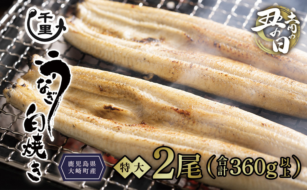 【土用丑の日】鹿児島県産うなぎ　特大白焼き2尾　合計360g以上