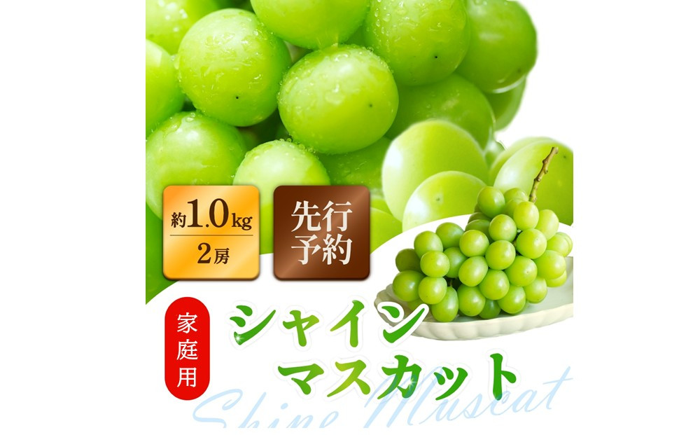 家庭用シャインマスカット&nbsp;2房&nbsp;合計1.0kg以上&nbsp;ぶどう&nbsp;葡萄&nbsp;桃太郎御一行　岡山県産&nbsp;2026年【8月中旬頃発送】