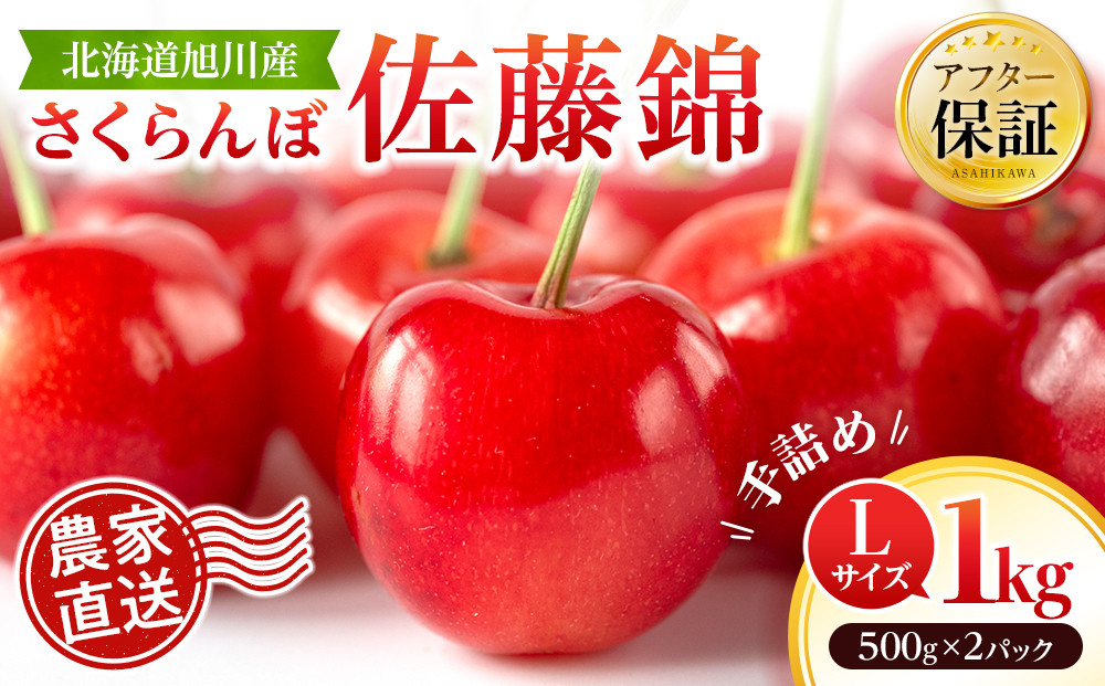【先行予約】戸田果樹園&nbsp;佐藤錦&nbsp;Lサイズ1kg(500g×2パック)&nbsp;手詰め（2026年7月上旬より発送開始予定）_05950