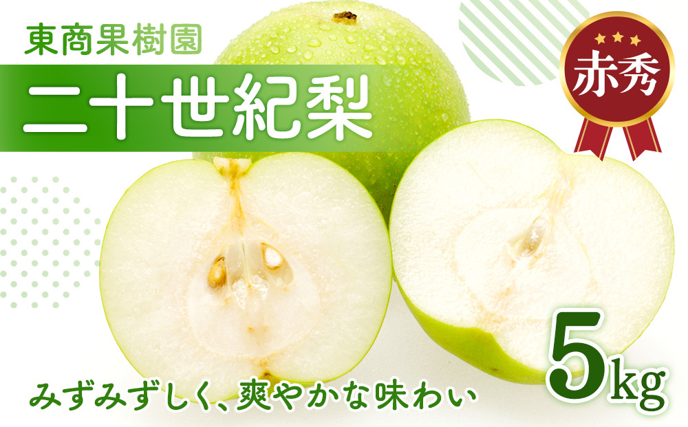 東商果樹園&nbsp;二十世紀梨&nbsp;(赤秀)&nbsp;5kg【8月下旬以降お届け】
