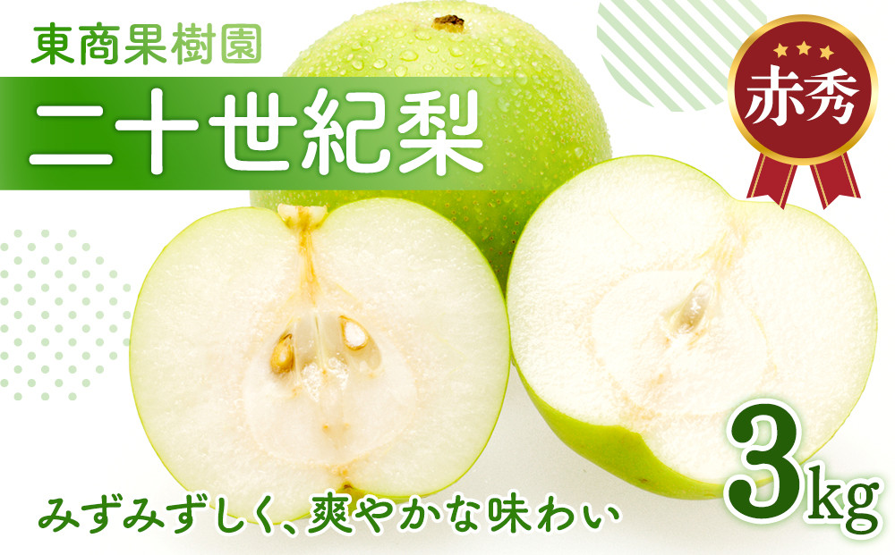 東商果樹園&nbsp;二十世紀梨&nbsp;(赤秀)&nbsp;3kg【8月下旬以降お届け】