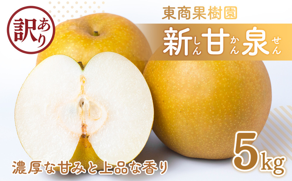 東商果樹園&nbsp;新甘泉&nbsp;(訳あり)&nbsp;5kg【8月下旬以降お届け】